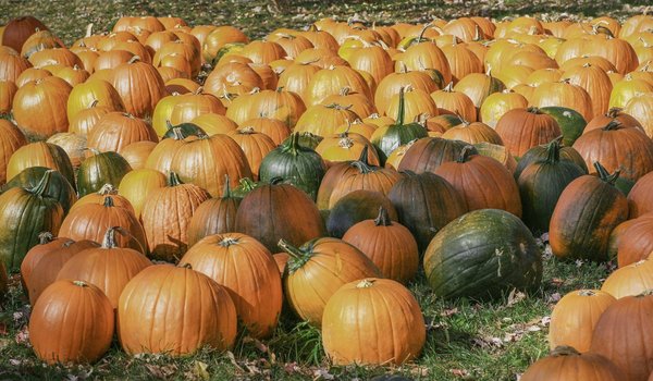 Essentials for ubuntu server patching: improve security and performance